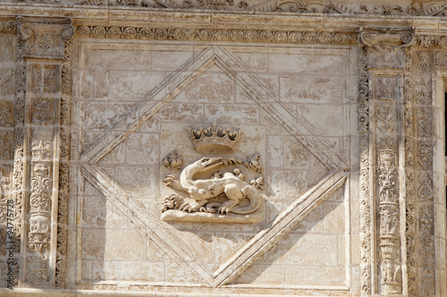 Obraz na plátně détail du Château Royal de Blois