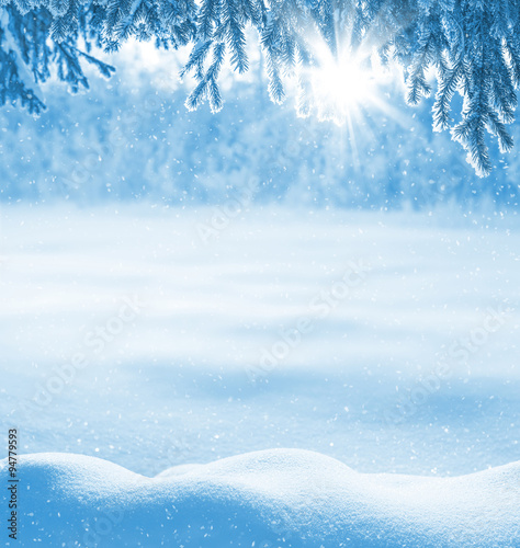 Winter background with snow-drifts and the christmas tree in frost