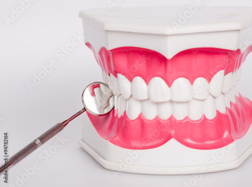 Clean teeth denture, dental jaw model, mirror and dentistry instruments 
