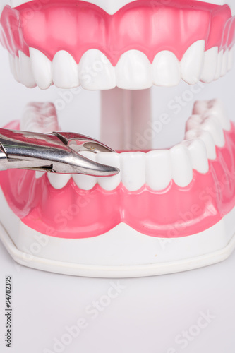 White teeth and dental instruments on white background