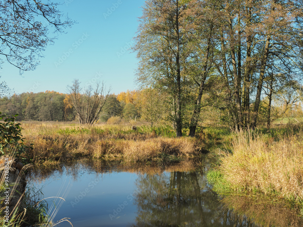 Flußlauf im Herbst Flußlauf im Herbst