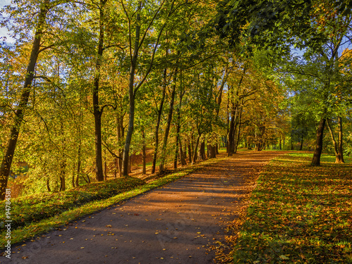 View colorful park alley in autumn