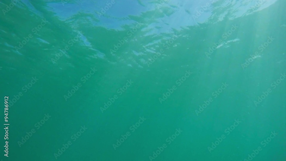 An underwater looped scene with sun rays shining through the water's glittering and moving surface. Use as background. An underwater looped scene with sun rays shining through the water's glittering and moving surface. Use as background.