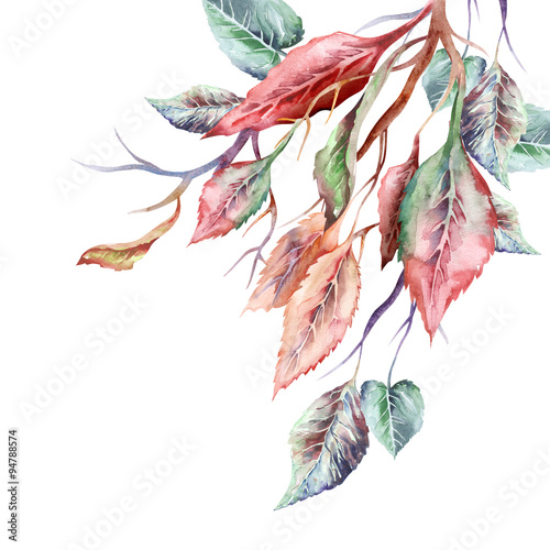 Watercolor Leaves