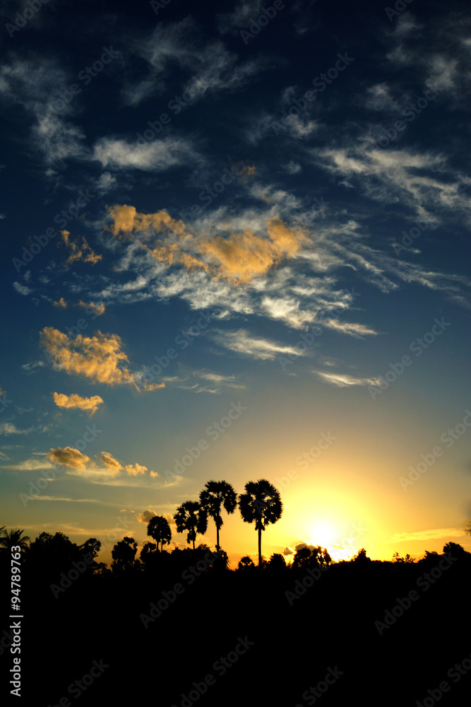 Sunset sky and palm trees silhouettes.
