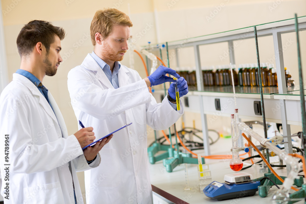 Colleagues working on experiment Colleagues working on experiment