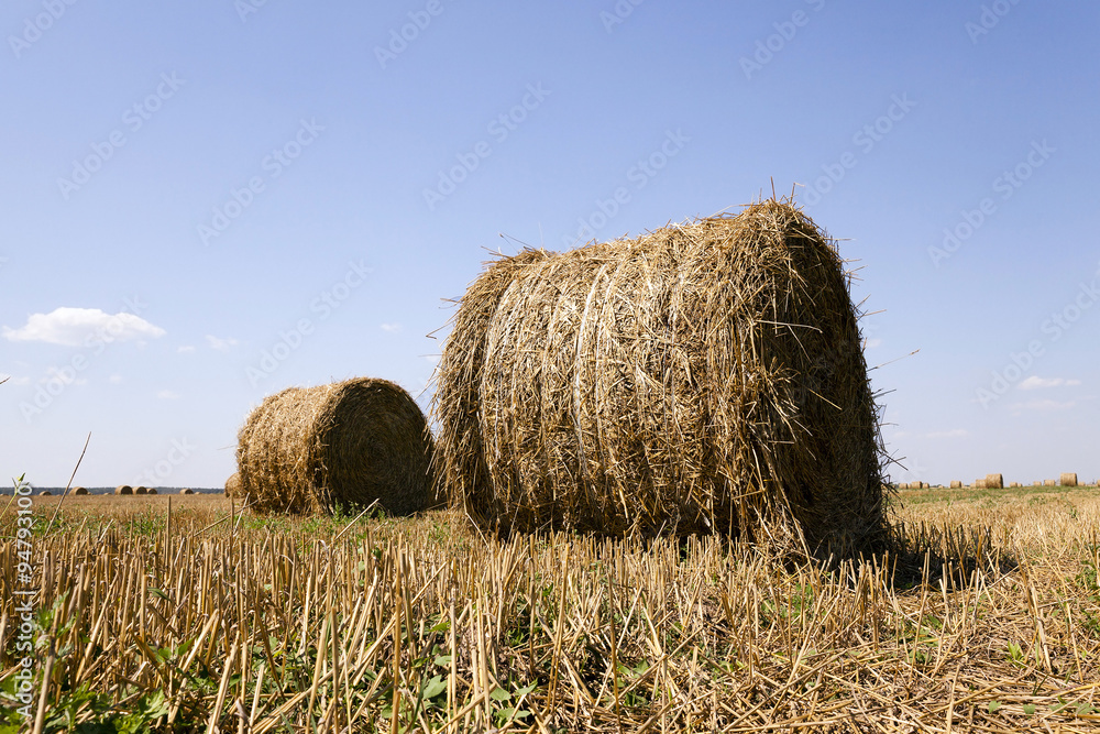 haystacks straw . summer