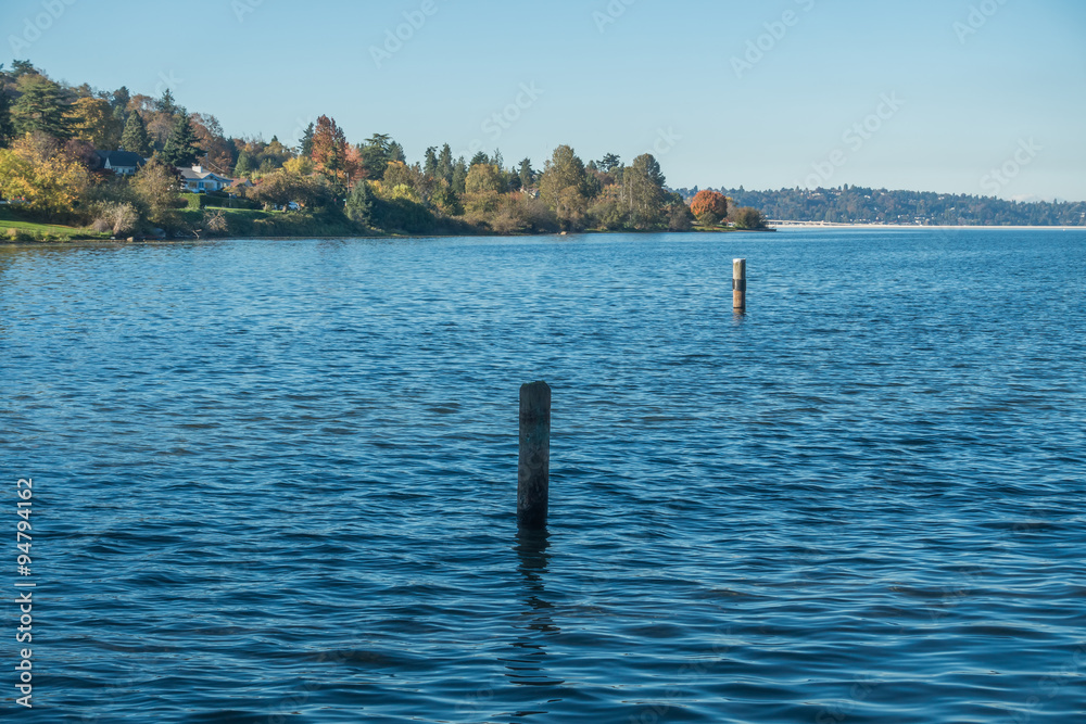 Lake Washington - Shoreline 9