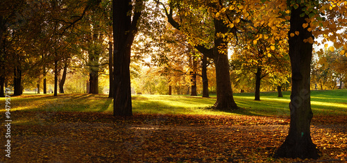 Herbst im Stadtpark