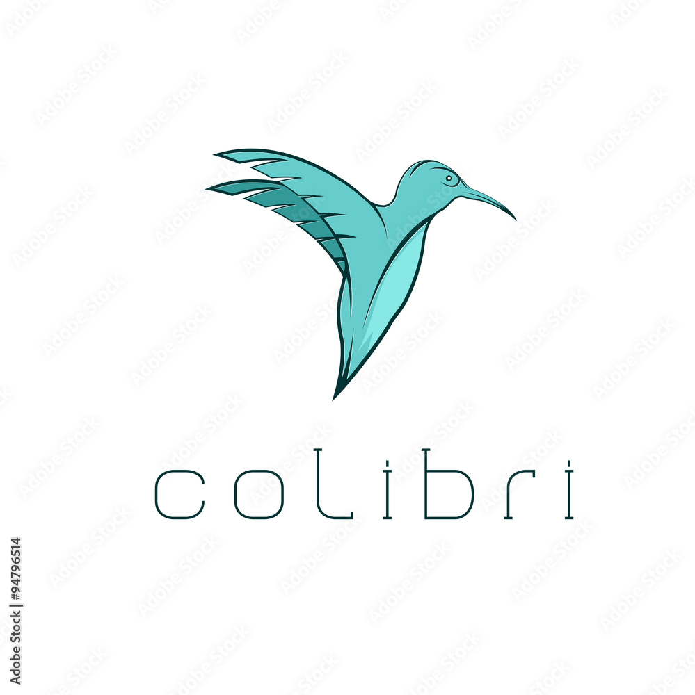 hummingbird vector design template