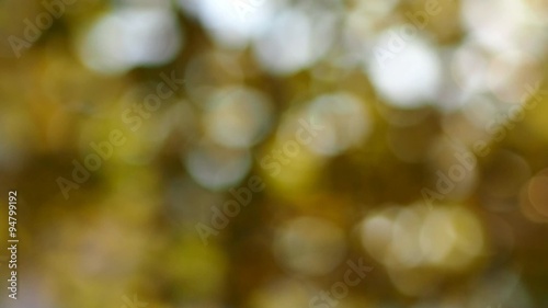bokeh blur background 