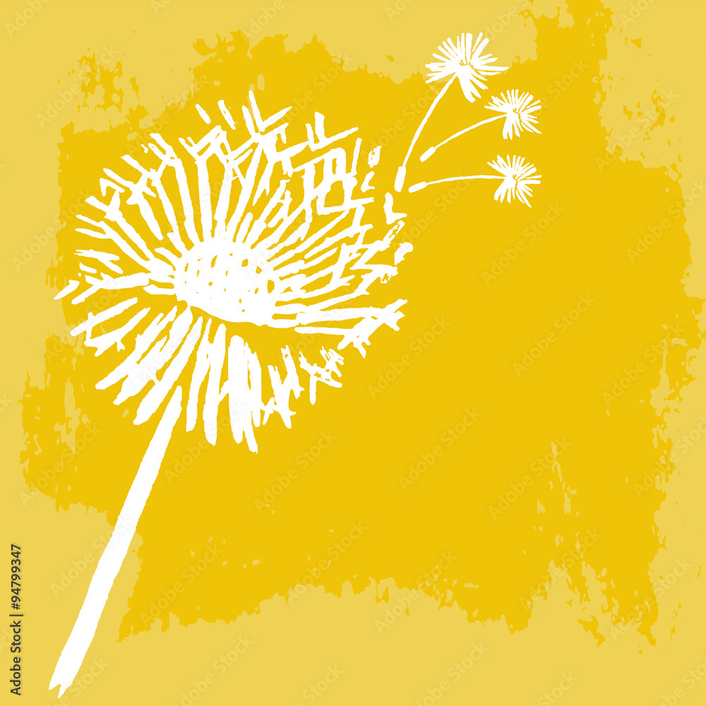Obraz premium Watercolor graphic dandelion. Vector