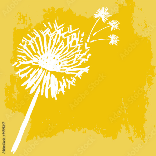 Fototapeta Naklejka Na Ścianę i Meble -  Watercolor graphic dandelion. Vector