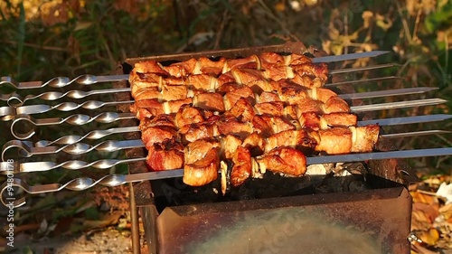 Barbecue with delicious grilled meat on grill.