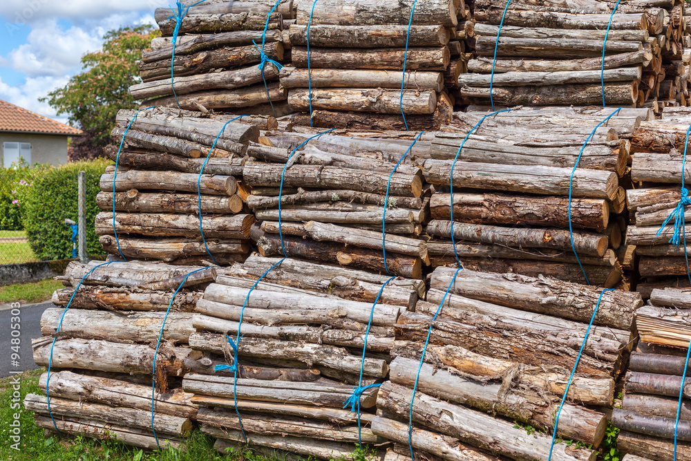 Big pile of wood logs Big pile of wood logs
