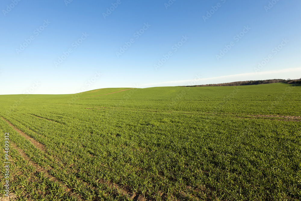 agricultural field . spring agricultural field . spring