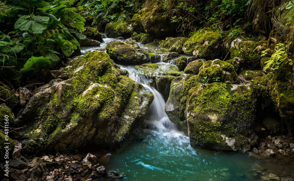 Forest Water Stream Running Over Mossy Rocks. Flowing Creek. Forest Water Stream Running Over Mossy Rocks. Flowing Creek.
