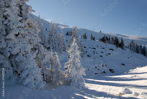 Winter Landscape in the Vitosha mountains, Bulgaria photo