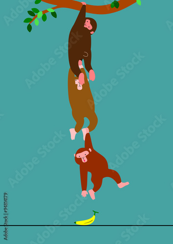 Photography Monkies trying to take a banana
