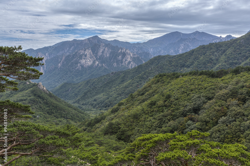 forested mountains forested mountains