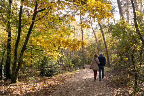 Senior couple walking in the woods on a sunny day in autumn, Utrechtse Heuvelrug, Netherlands © TasfotoNL