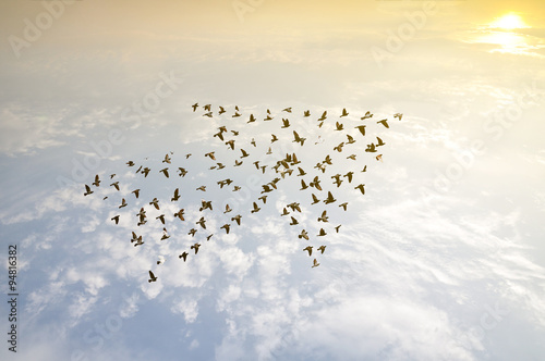 Birds on sky , growth development concept 