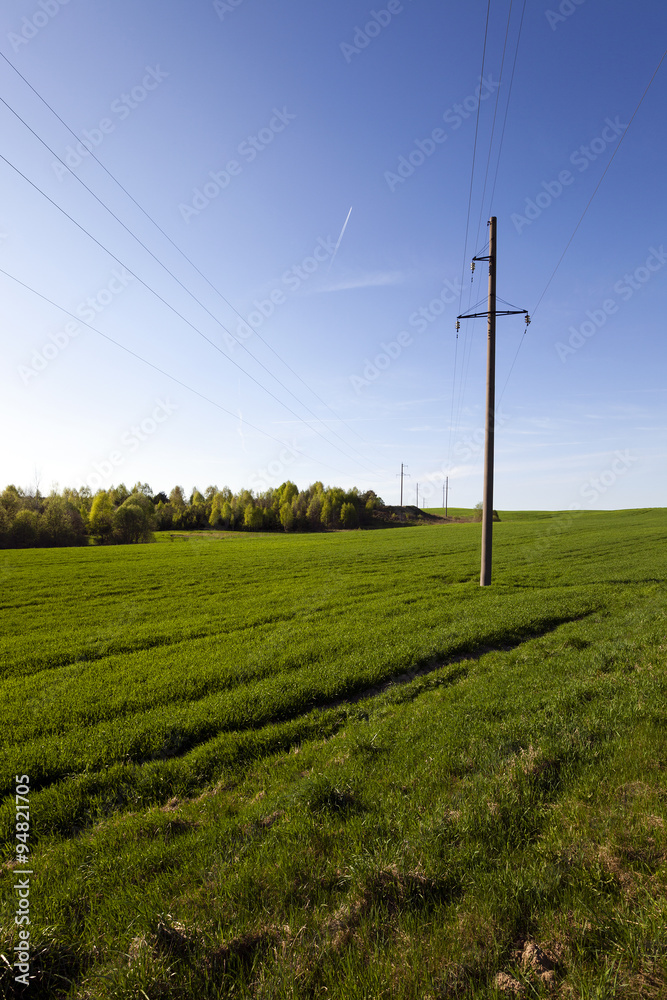 electric line in the   field  