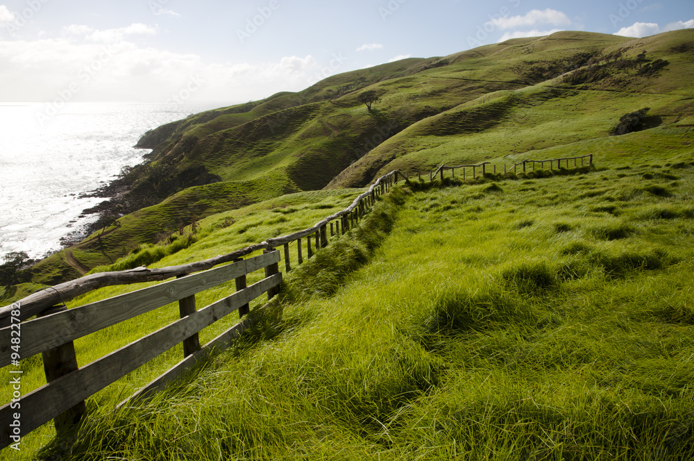 Sheep Pasture - New Zealand