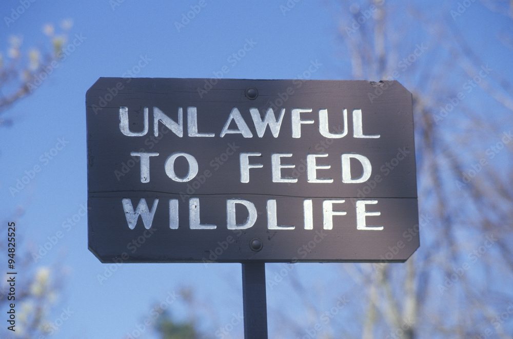 A sign that reads ÒUnlawful to feed wildlifeÓ A sign that reads ÒUnlawful to feed wildlifeÓ