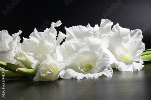 Fotografia, Obraz gladiola, gladiolus