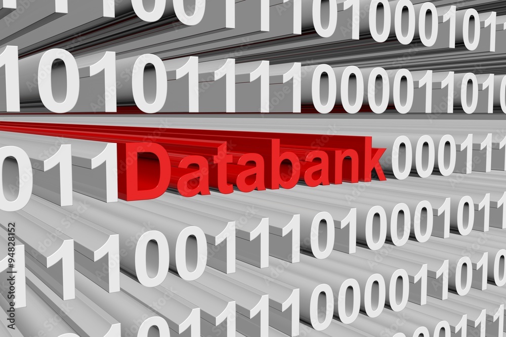 Databank is presented in the form of binary code