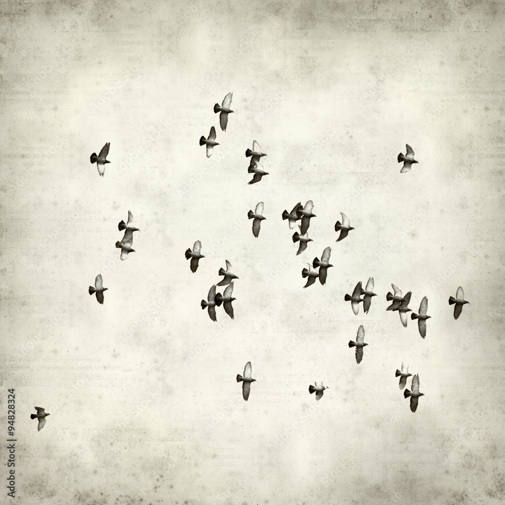 Fototapeta premium textured old paper background