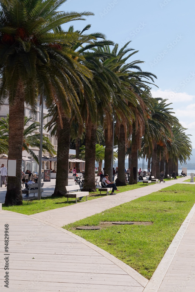 Landscape with the image of Tivat embankment, Montenegro Landscape with the image of Tivat embankment, Montenegro