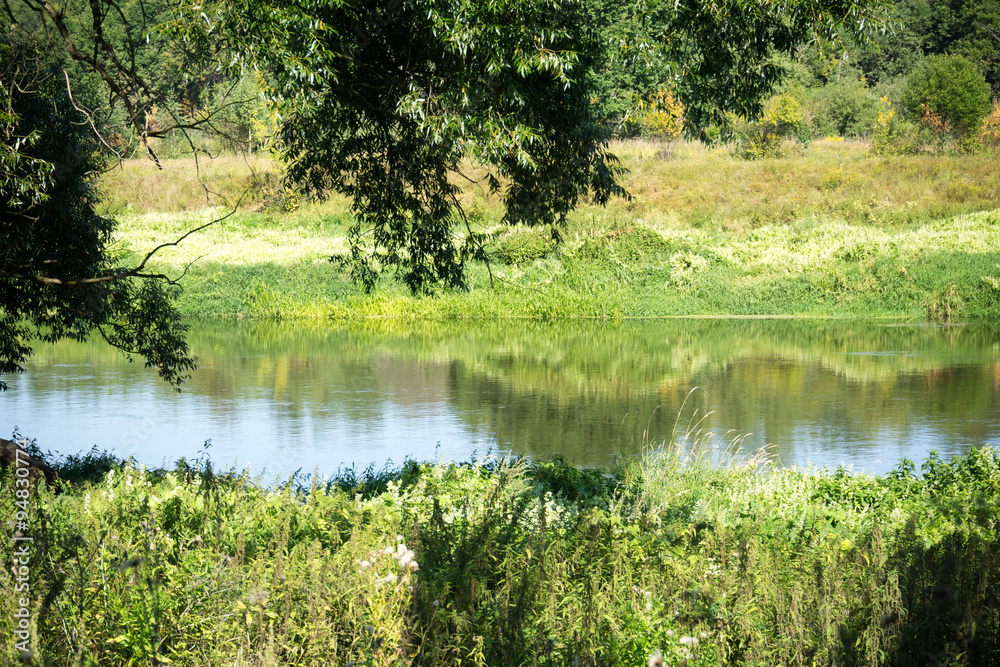 Green Forest and River Green Forest and River