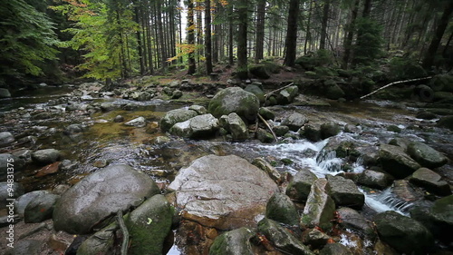Wallpaper Mural Forest stream in autumn, Karkonosze Mountains, Poland. Torontodigital.ca