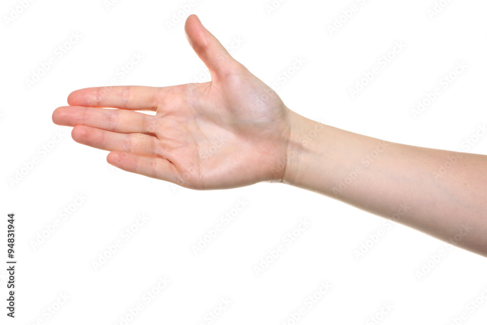 Female hand outstretched for a handshake, isolated on white. Female hand outstretched for a handshake, isolated on white.