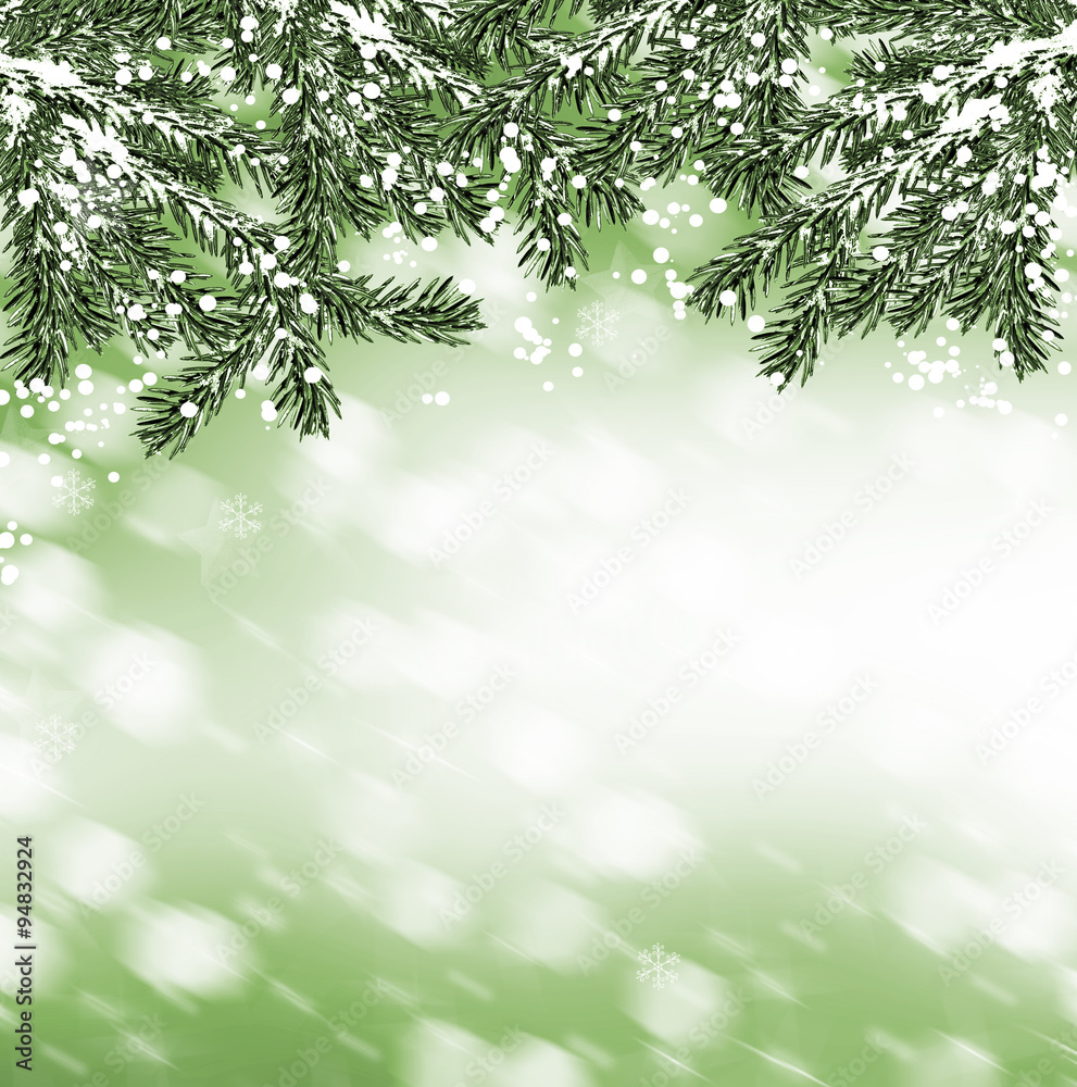 Obraz premium Winter Forest. Winter landscape.