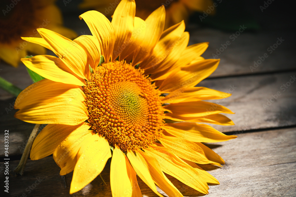 Obraz premium Beautiful bright sunflowers on wooden table close up