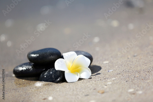 Pebbles with plumeria on seashore