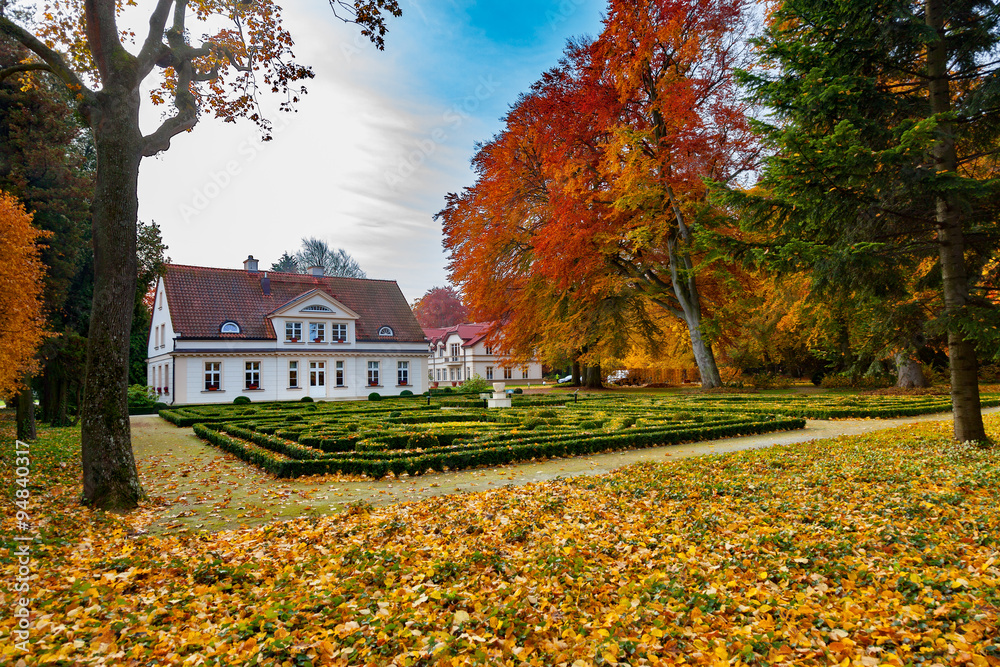 Obraz premium Oliwa park in autumn scenery. Oliwa, Poland.