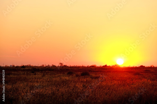 Beautiful sunrise on a field © Africa Studio