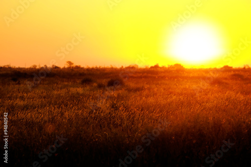 Beautiful sunrise on a field