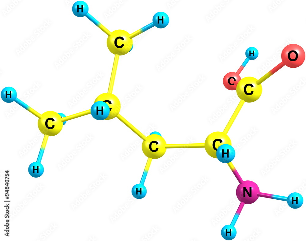 Leucine molecular structure on white background Leucine molecular structure on white background