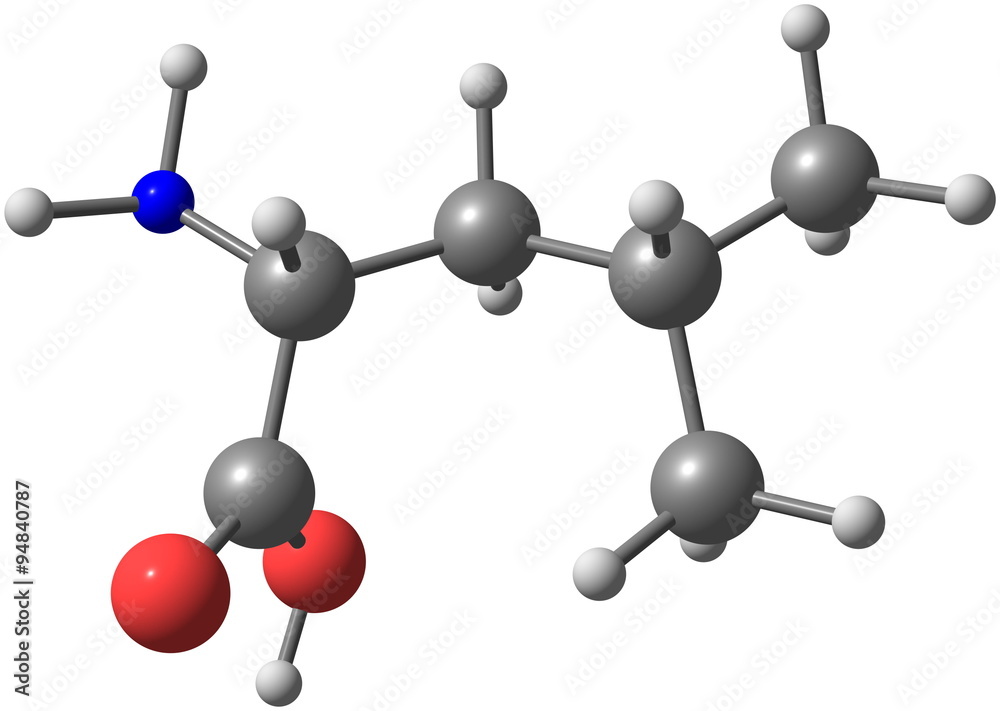 Obraz premium Leucine molecular structure on white background