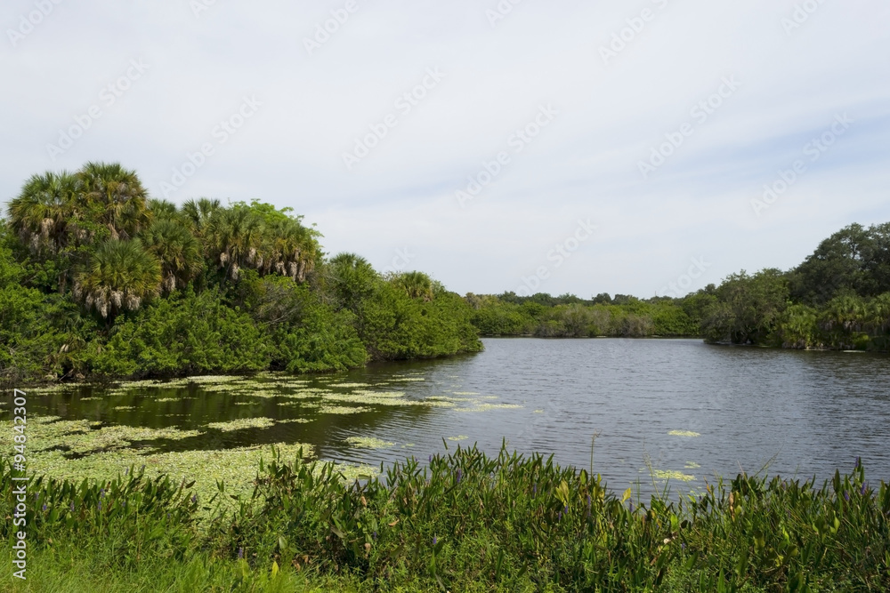 Lake in Florida Everglades national park Lake in Florida Everglades national park
