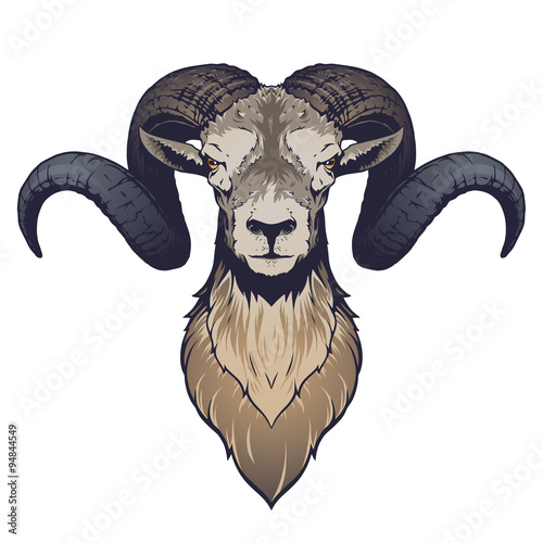 Ram head illustration