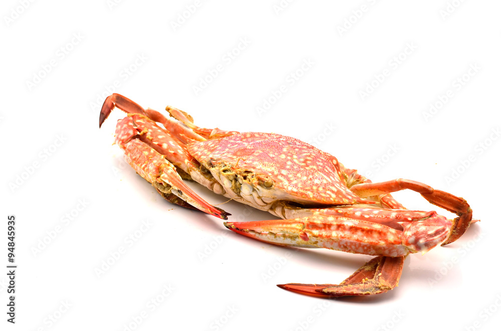 Steamed crab on a white background. Steamed crab on a white background.