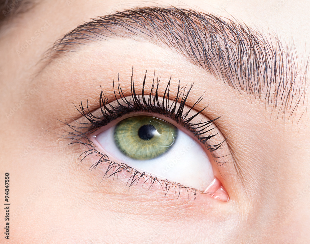 female eye zone and brows with day makeup female eye zone and brows with day makeup