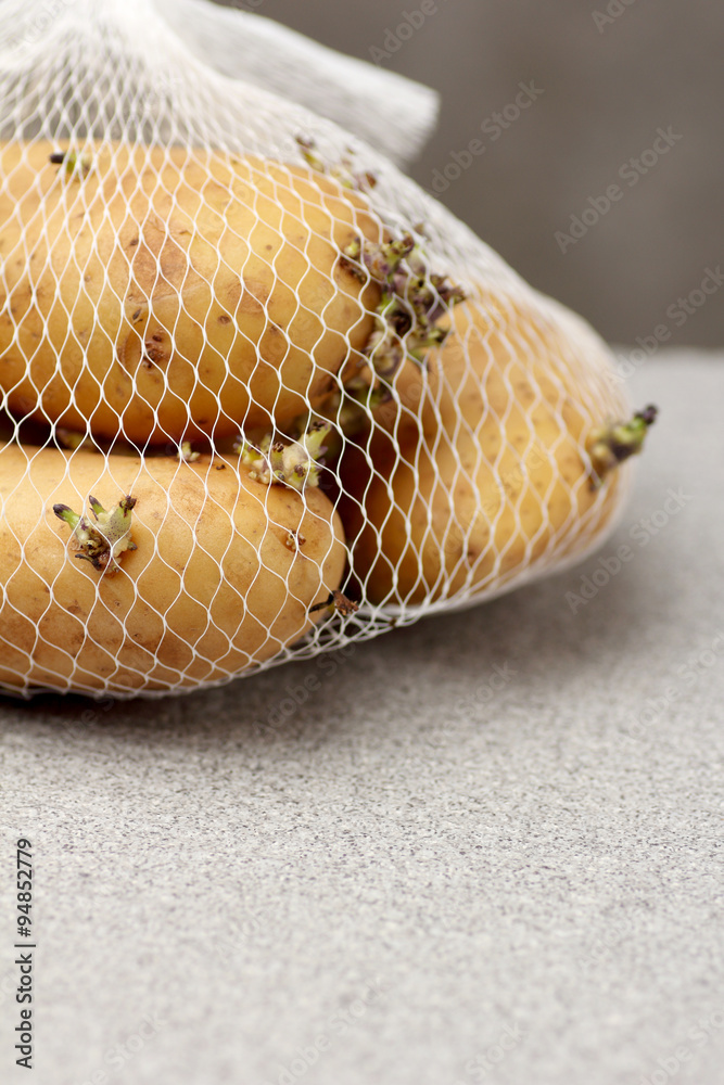 Obraz premium potato growing long time keep