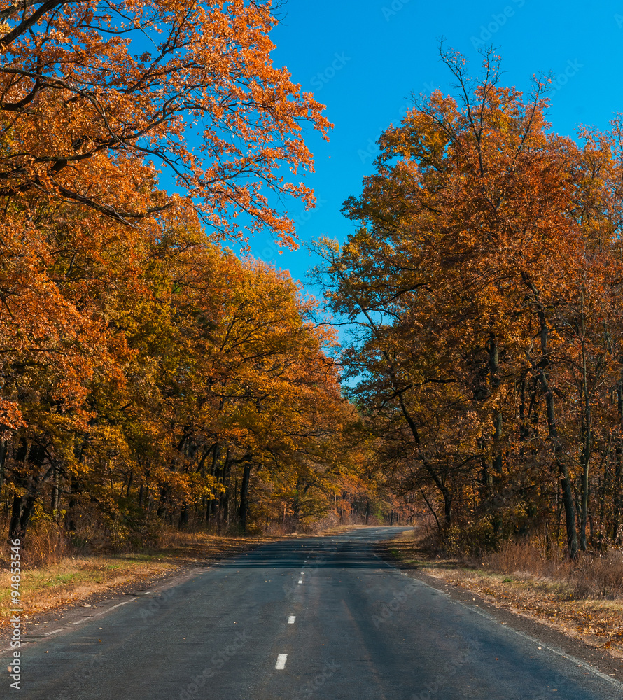 Obraz premium Rural road